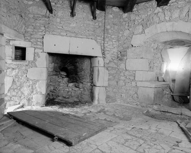 Donjon. Vue du rez-de-chaussée prise de l'entrée.