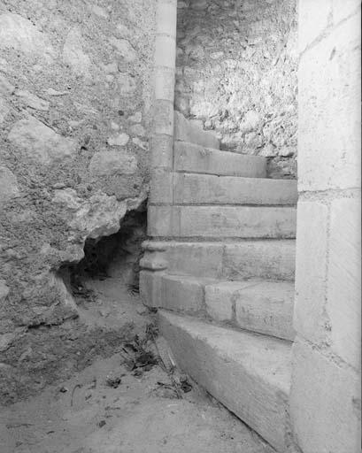 Donjon. Sous-sol, départ de l'escalier en vis.