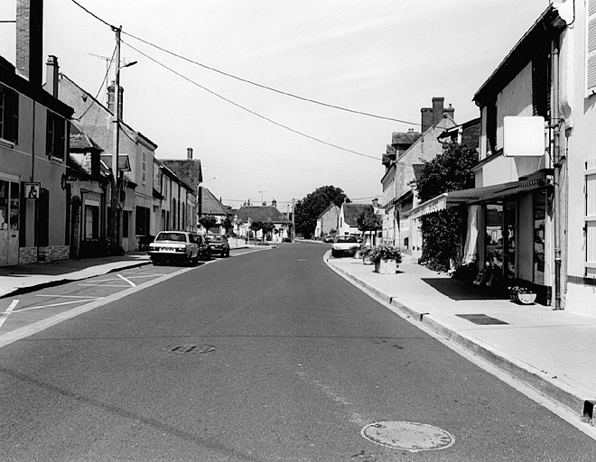 Vue générale de la rue Principale de Saint-Maurice-sur-Aveyron.