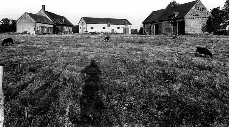 Vue d'ensemble de la ferme, de l'ouest.