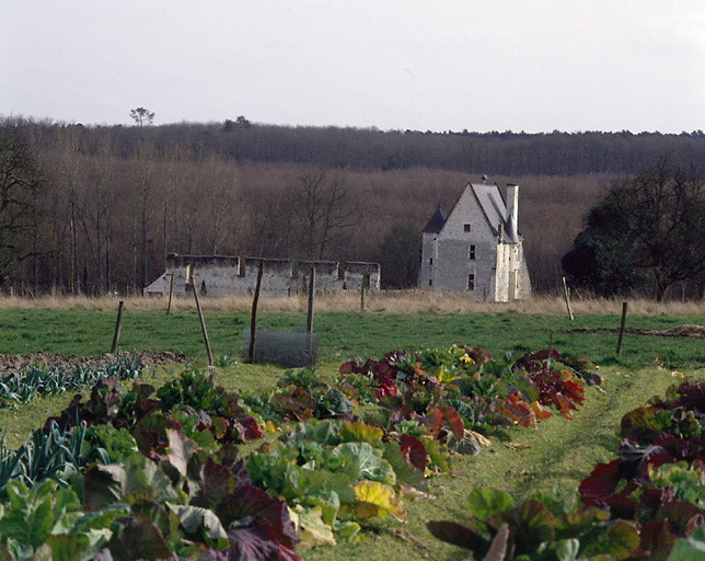 Vue d'ensemble prise du nord.