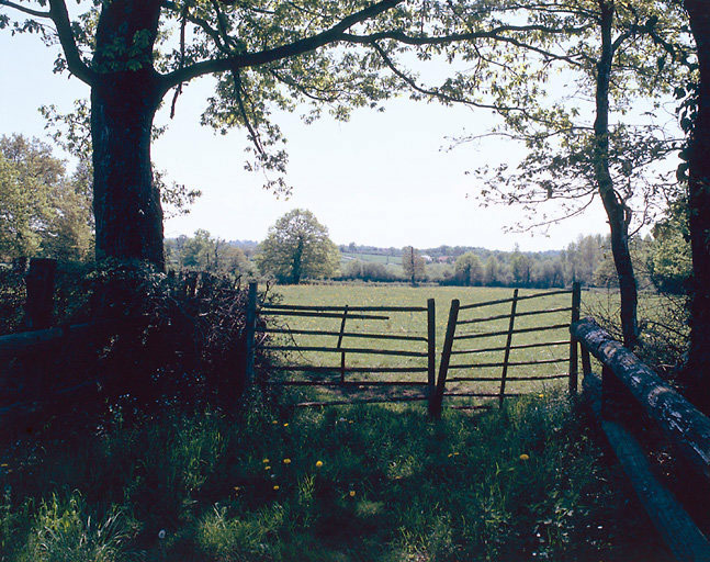 Paysage : clôture en échalier.