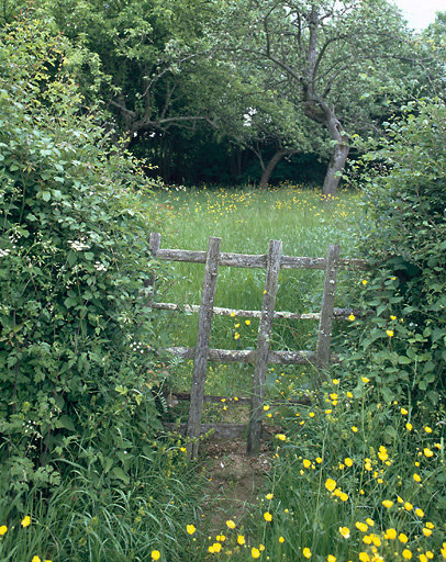 Paysage : échalier.