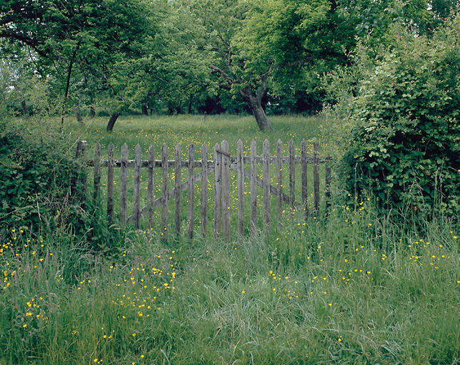 Paysage : barrière.