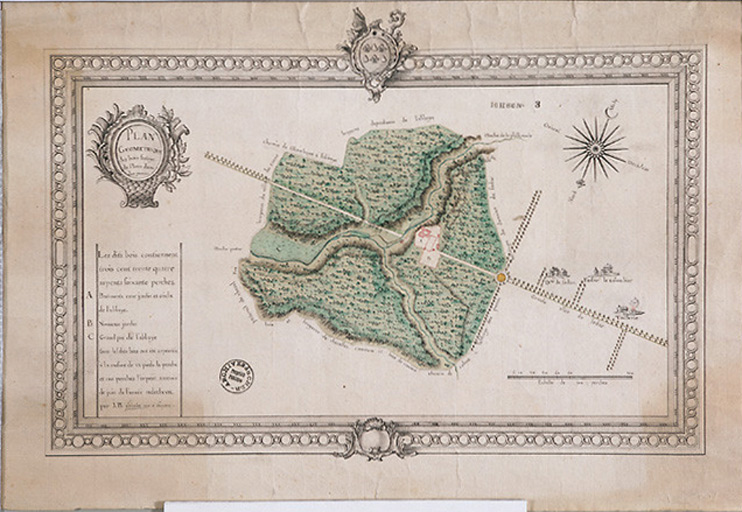 Plan géométrique des bois, futayes de Notre Dame des Pierres, 1767.