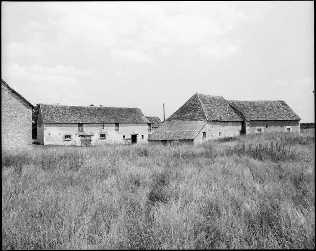 Ferme