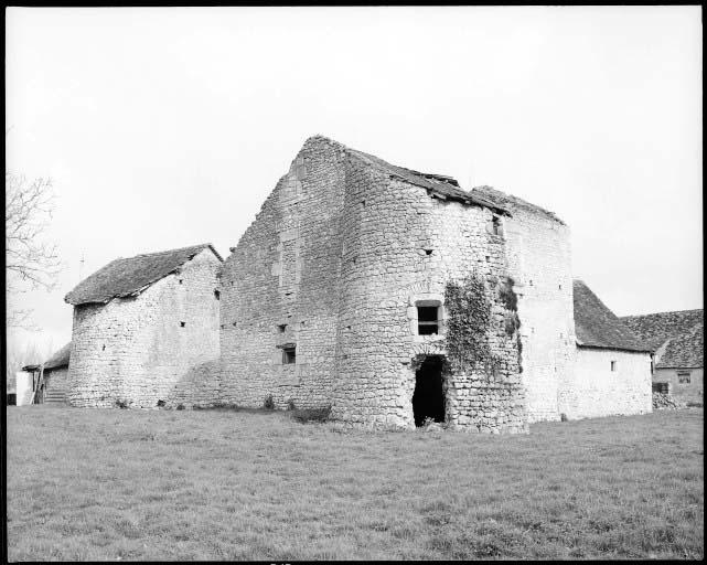 Vue d'ensemble des ruines du manoir prise du sud-est.