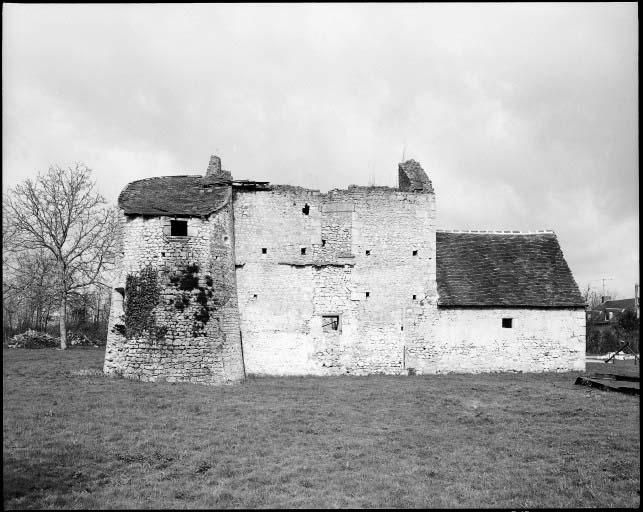 Vue d'ensemble des ruines du manoir prise de l'est.