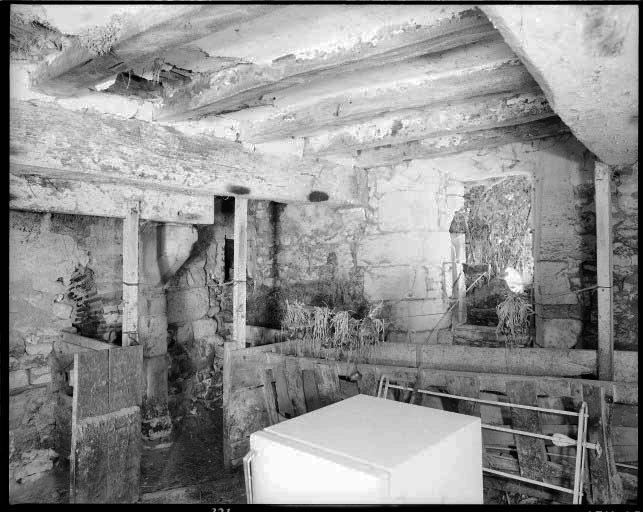 Vestiges d'une maison à entrée en pignon. Vue intérieure. La cheminée du four et une fenêtre latérale.