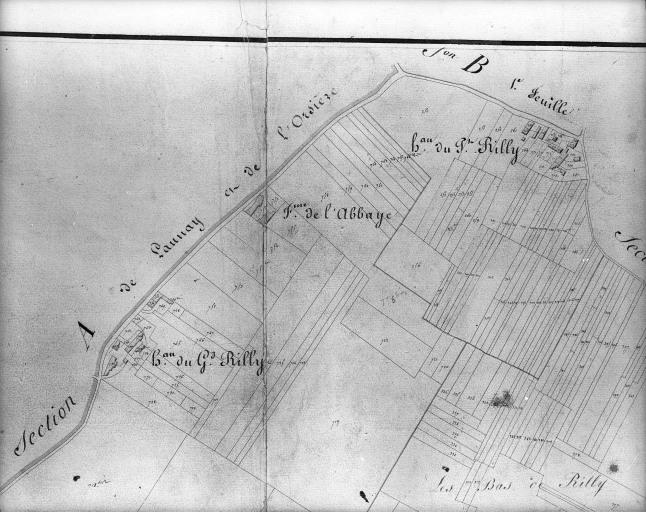 Plan cadastral, 1828 : Petit et Grand Rilly.