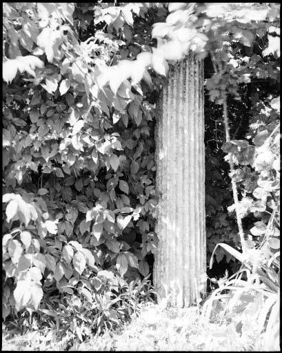 Fût de colonne cannelée.