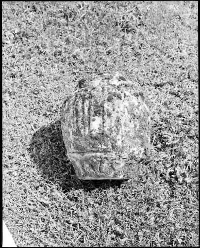 Fragment d'ornement sculpté.
