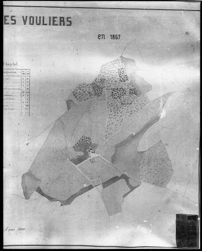 Plan du domaine des Vouliers en 1867.