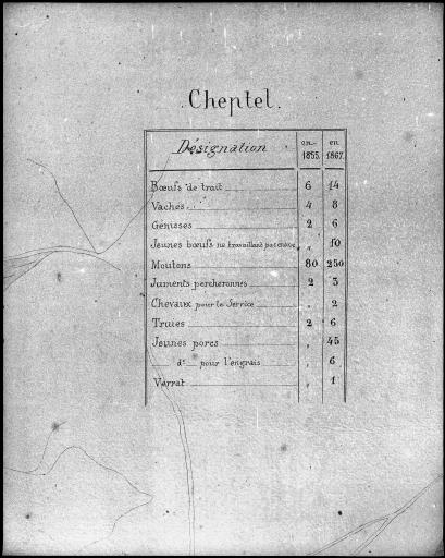 Détail du plan du domaine : liste du cheptel.