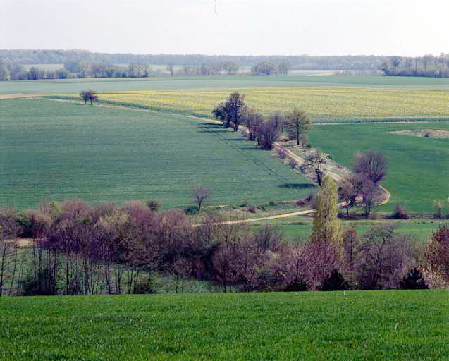 Vue générale.
