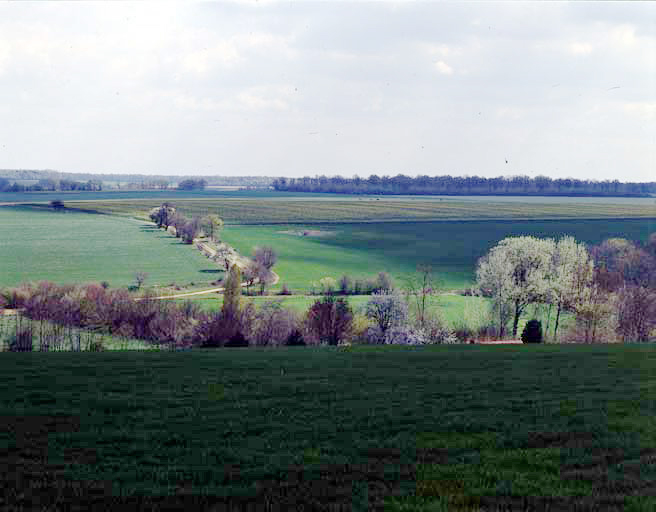 Vue générale.