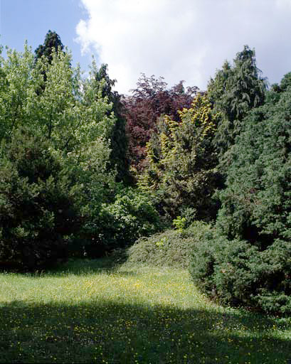 Vue prise dans l'arboretum Lemosse.