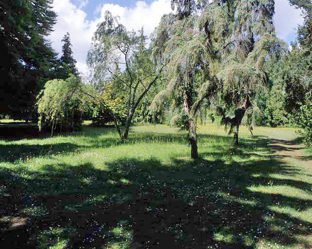 Vue prise dans l'arboretum Lemosse.