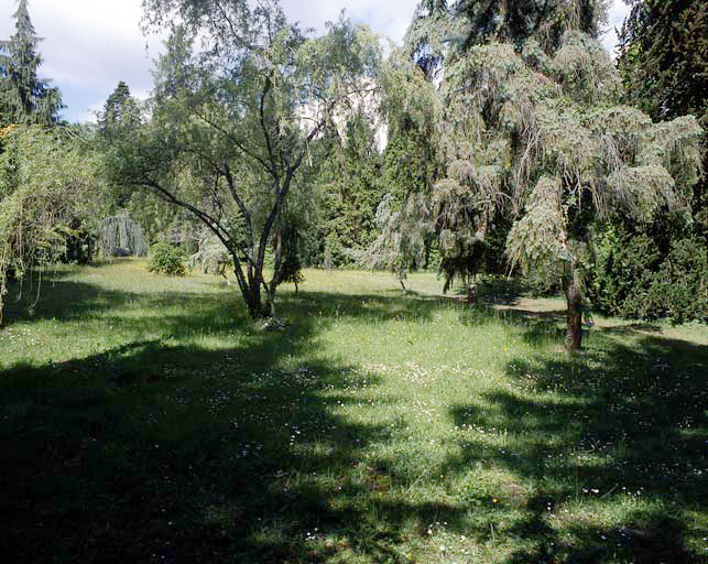 Vue prise dans l'arboretum Lemosse.