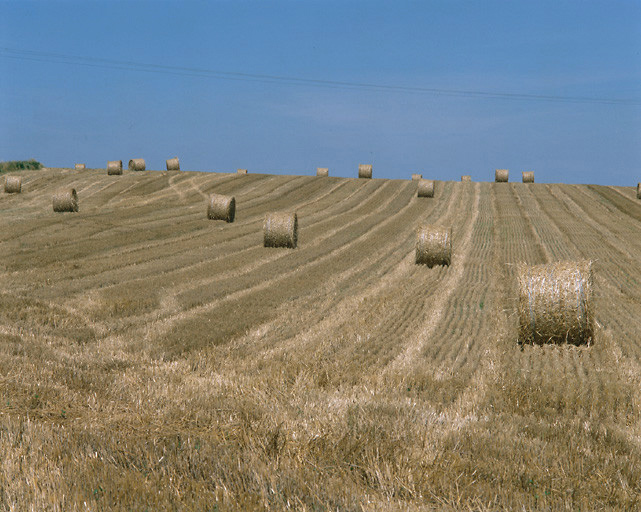 Paysage au nord de Neuvy le Roi.