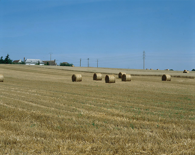 Paysage au nord de Neuvy le roi.
