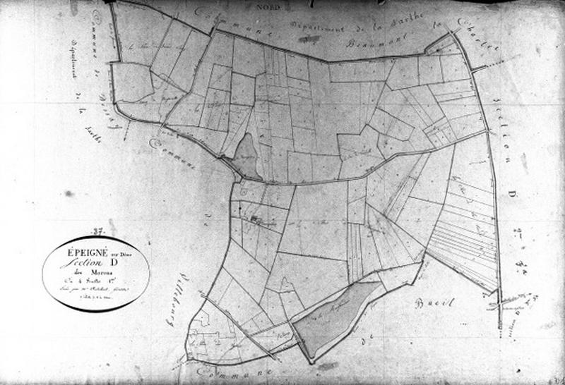 Extrait du plan cadastral de 1834 : commune d'Epeigné, section D1, à l'échelle 1/2500e.