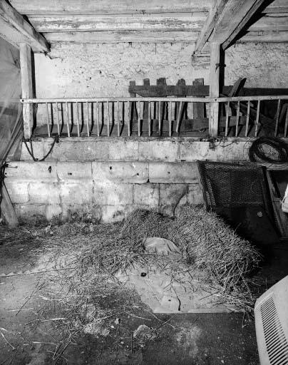 Mangeoire et abreuvoir de l'étable continuant le bâtiment d'habitation.