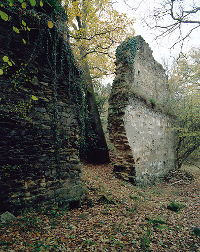 Vue des ruines de l'église.