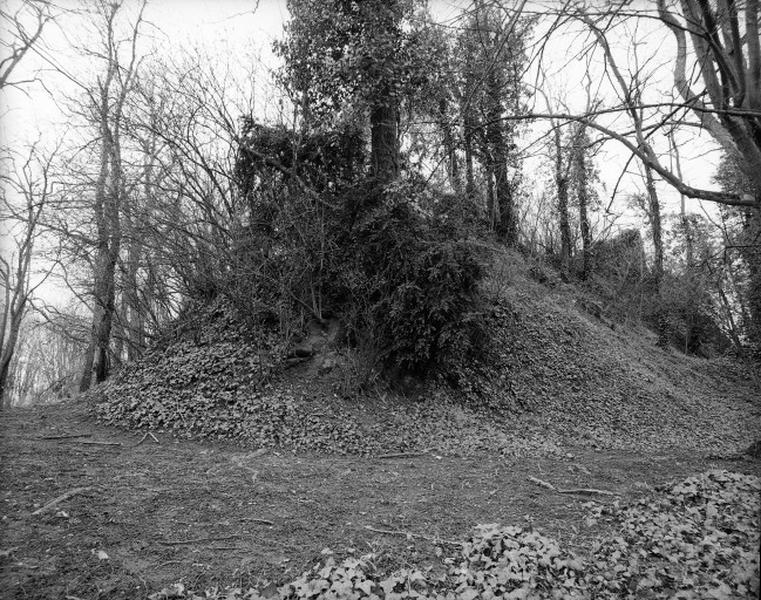 Motte, vue d'ensemble.