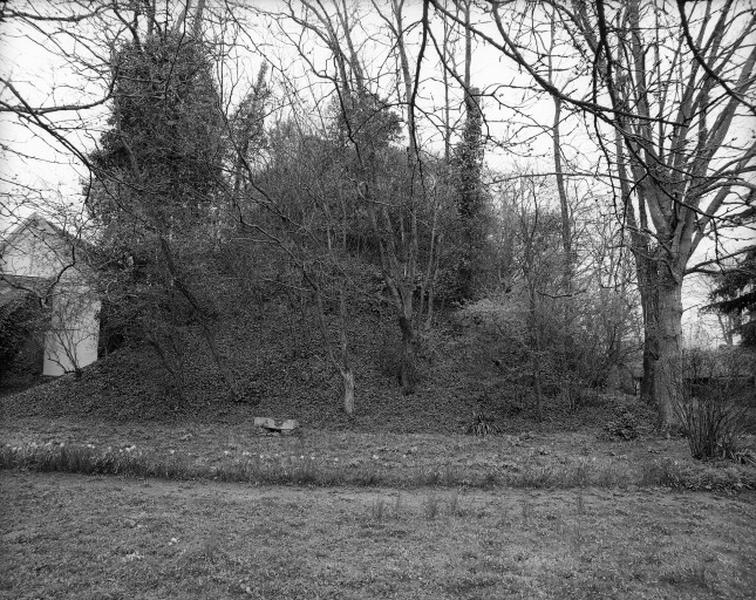 Motte, vue d'ensemble.