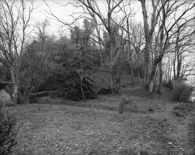 Motte, vue d'ensemble.