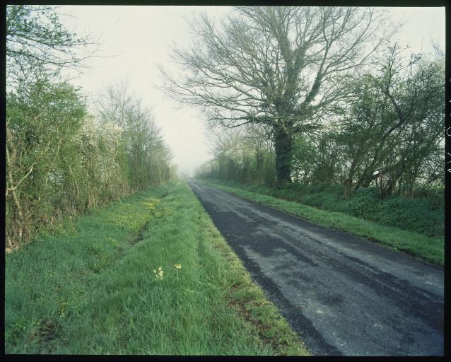 Bocage de la Brenne. Un route entourée de haies.