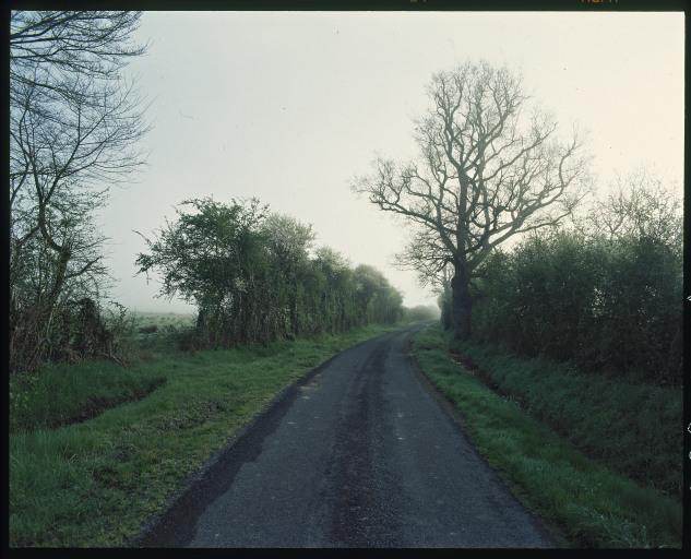 Bocage de la Brenne. Un route entourée de haies.