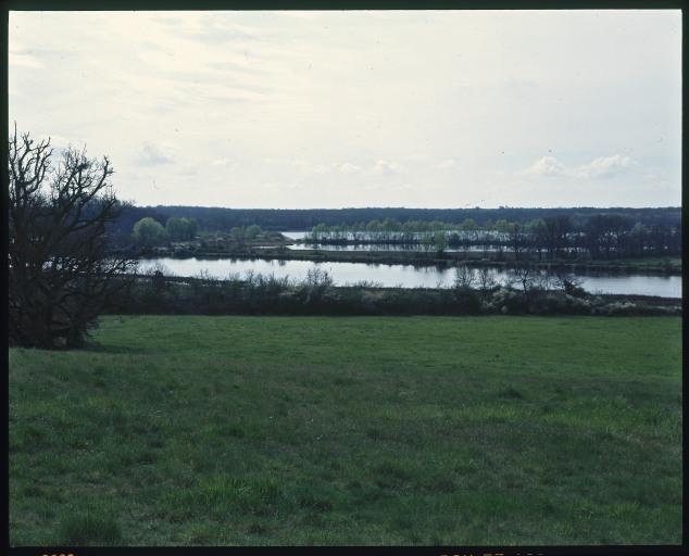 Paysage de Brenne avec étang.
