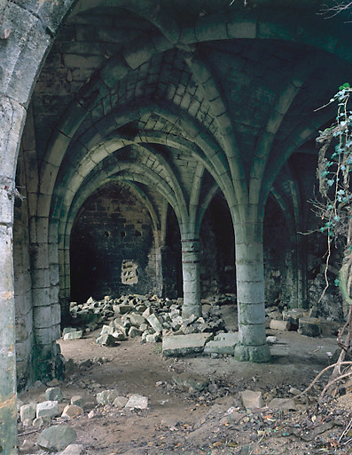 Aile sud. Vue intérieure de la salle voûtée vers le mur ouest.