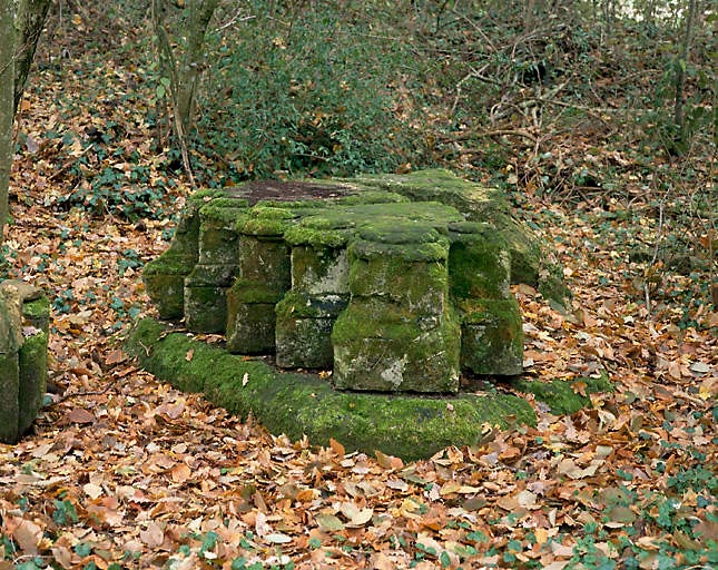 Vestiges de l'église. Pilier du transept, marqué pilier 1 sur le plan.