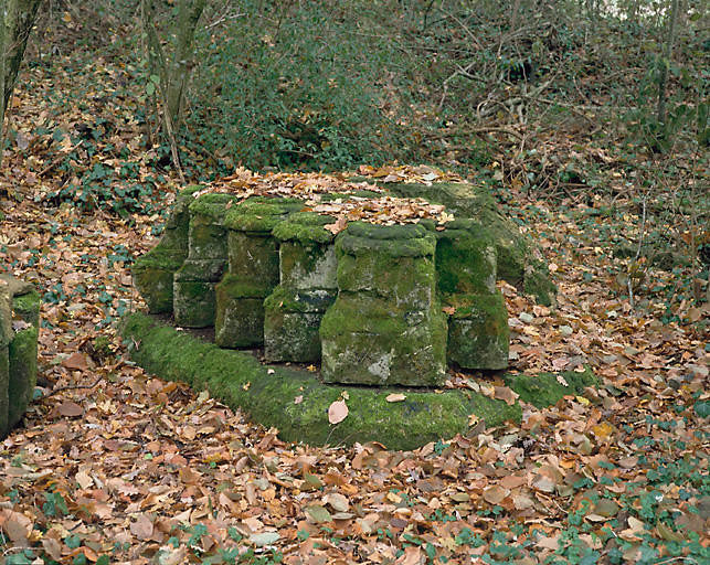 Vestiges de l'église. Pilier du transept, marqué pilier 1 sur le plan.