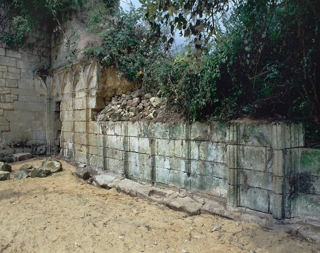 Vestiges du cloître. Vue générale des arcatures et du mur du cloître situés au revers du mur sud de l'église, visibles après le dégagement en août 1999. Détail des colonnettes.