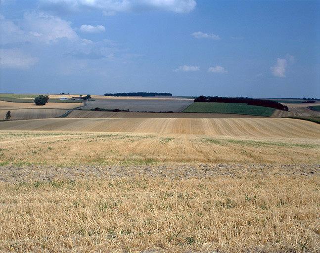 Paysage : le plateau du Richelais.
