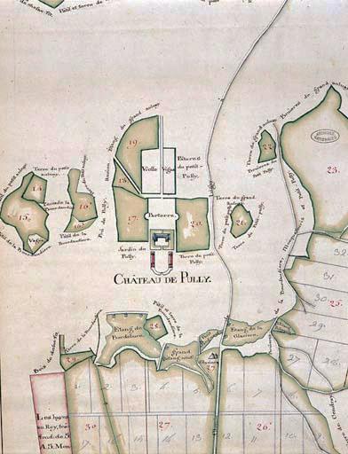 Plan des bois et taillis dépendant de Pully (fin 18e siècle).