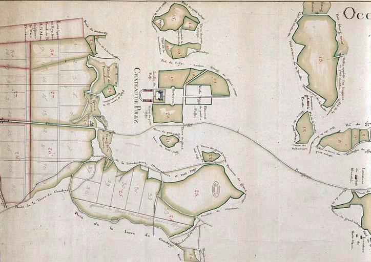 Plan des bois et taillis dépendant de Pully (fin 18e siècle).