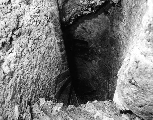 Escalier en vis roman (?) prenant naissance dans la cave.