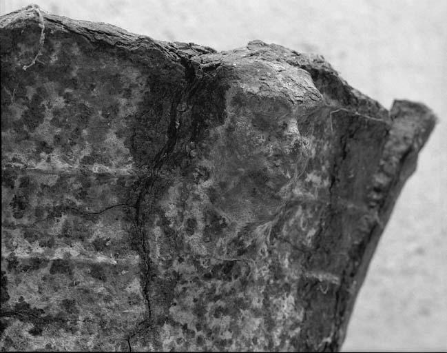 Bénitier en fonte. Détail : bélière en forme de protomé représentant une tête humaine (vue de face).