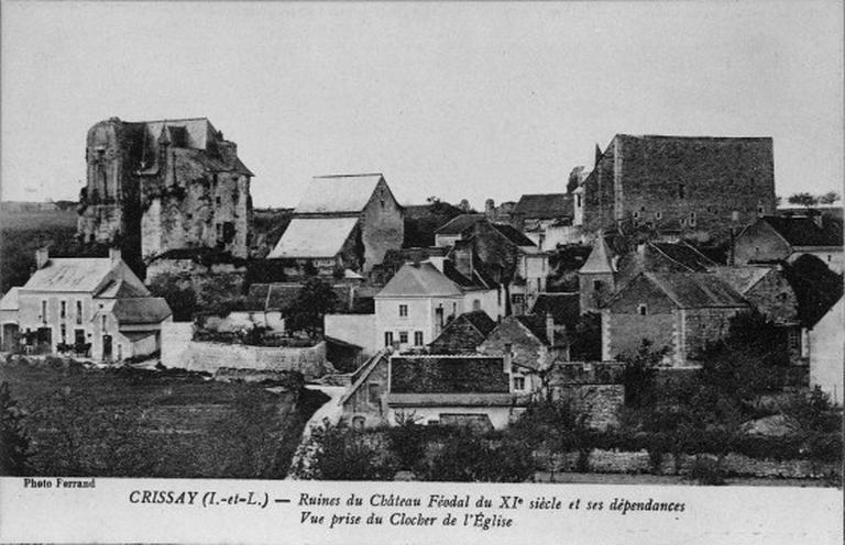 Vue d'ensemble des vestiges du château.