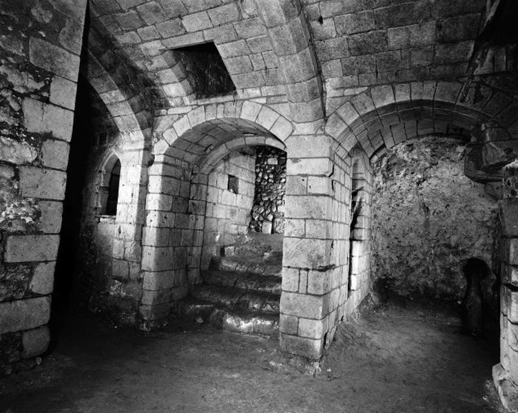 Vue de la grande salle, vers le mur sud-ouest, montrant : à droite la partie voûtée, avec les 2 niches rectangulaires, au milieu l'ancienne issue du souterrain, avec dans la voûte la trace d'un trou de déversoir, et à gauche la niche ogivale.