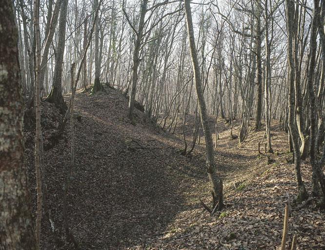Vue d'ensemble.