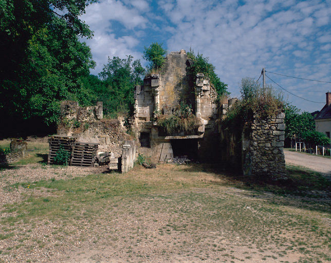 Vue d'ensemble des vestiges du logis.
