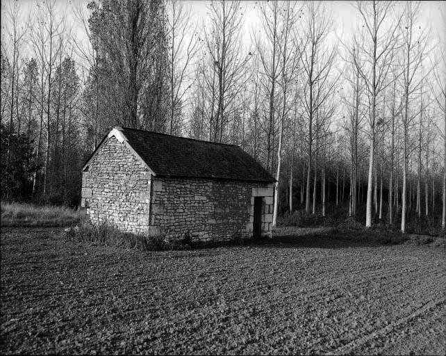 Abri dit loge de vigne : vue prise à l'est.