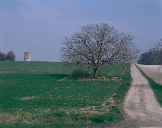 Vue générale des vestiges d'un moulin, au lieu-dit 'Les Moulins'.