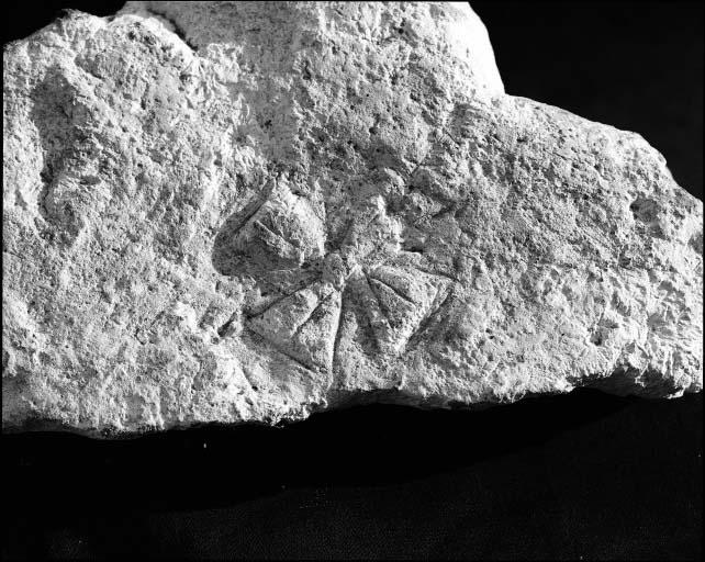 Détail d'une croix gravée découverte dans un puits.